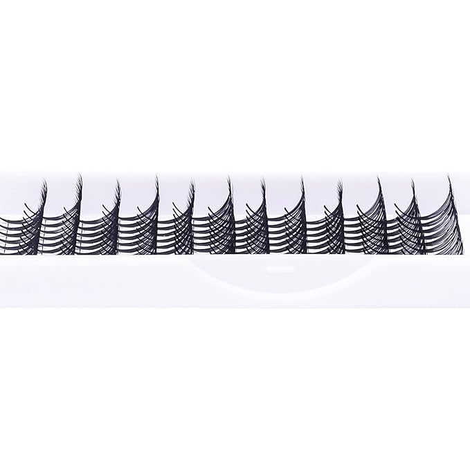 Eyelash Extensions Premade Fans Eyelash Extensions C CC D DD Curl Pointy Tip Pre Fan Eyelashes Premade Lash Extension Fans Volume Lash Extensions Pre Made Volume Lashes (10D-0.07D, 10mm)