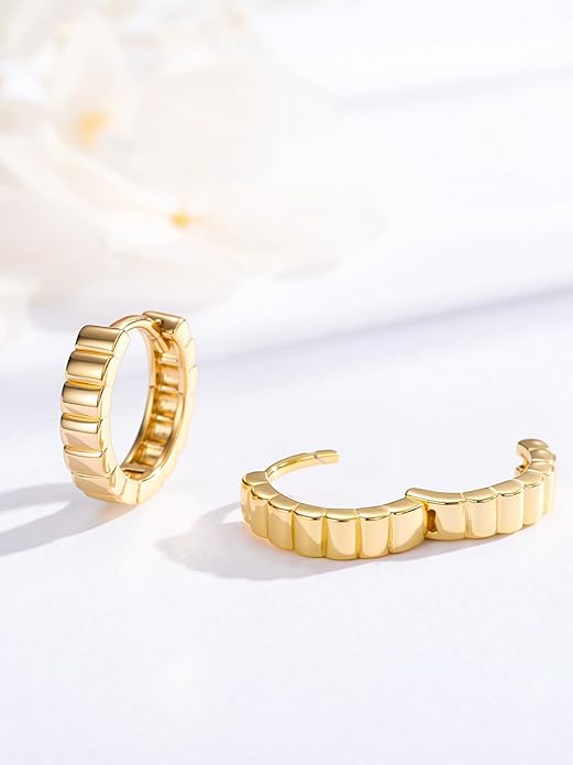 Oval/Round Hoop Huggie Earrings for Women 14k Gold Plated Earrings Hypoallergenic Cubic Zirconia Jewelry Gifts