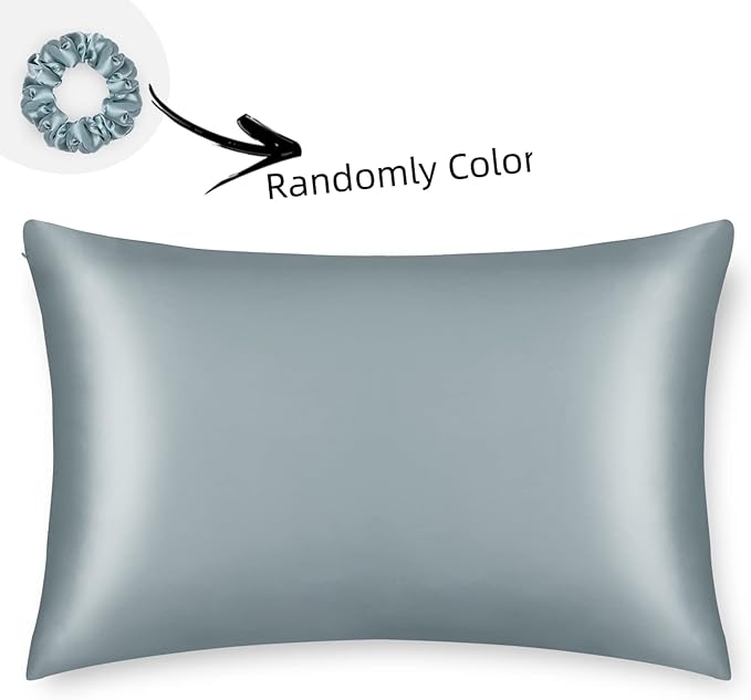 ALASKA BEAR Natural Silk Pillowcase, Hypoallergenic, 19 Momme, 600 Thread Count 100 Percent Mulberry Silk, King Size with Hidden Zipper(1, Haze Blue)