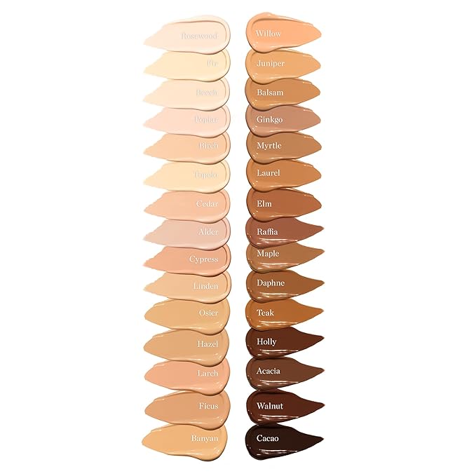 Ogee Complexion Perfecting Under Eye Concealer - Certified Organic Full Coverage Concealer - Buildable Coverage - MAPLE 8.25N - Medium Deep (Golden-Bronze Undertones)