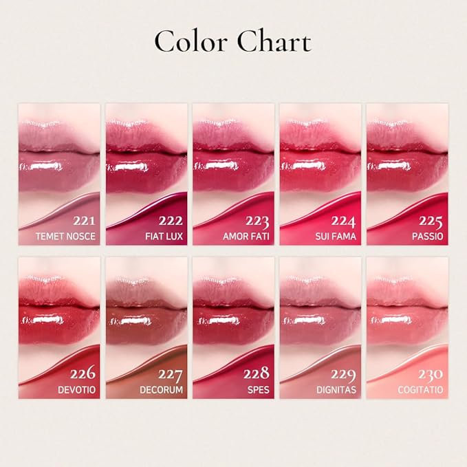 DINTO Blur-Glowy Lip Tint - Glossy Finish, Hydrating, Long Lasting, Lightweight Texture, Non-Sticky, Vegan & Cruelty-Free, K beauty (202 Sophia, 0.11 fl.oz)