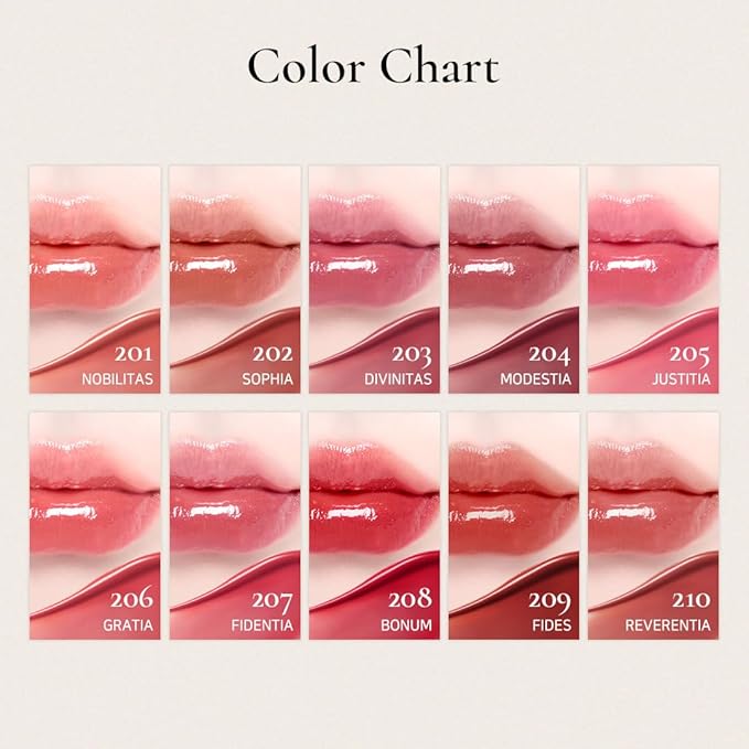 DINTO Blur-Glowy Lip Tint (227 Decōrum)