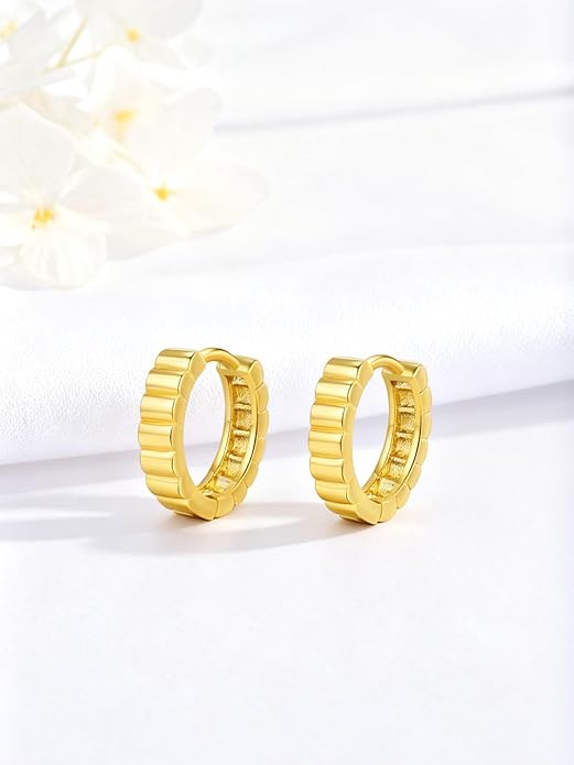 Oval/Round Hoop Huggie Earrings for Women 14k Gold Plated Earrings Hypoallergenic Cubic Zirconia Jewelry Gifts
