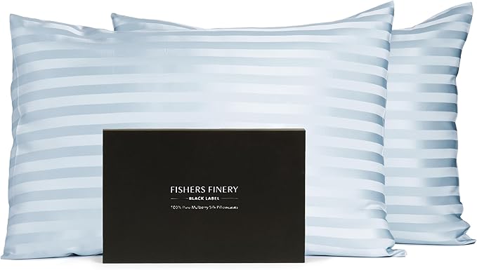 Fishers Finery 30mm 100% Pure Mulberry Silk Pillowcase Set, Quality Tested (Blue Stripe, Queen, 2 Pack)