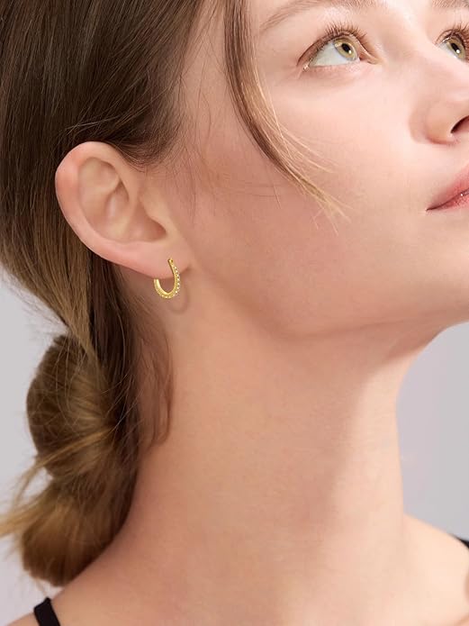 Oval/Round Hoop Huggie Earrings for Women 14k Gold Plated Earrings Hypoallergenic Cubic Zirconia Jewelry Gifts