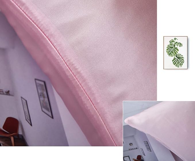 Mulberry Silk Pillowcases Set of 2, Hypoallergenic Satin Pillow Covers for Hair and Skin, with Hidden Zipper, Both Side 100% 19 Momme Silk (Pink,Queen)