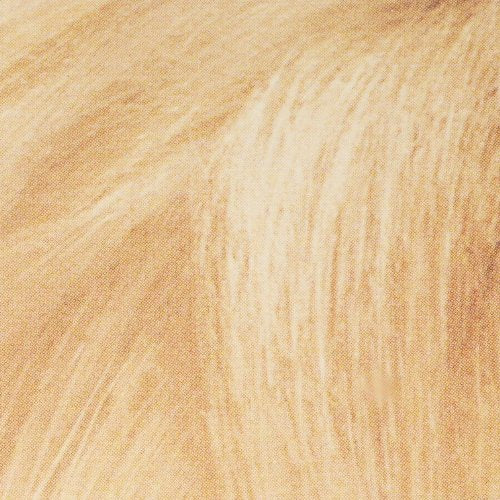 L'Oreal Paris Super Blonde Creme Lightening Kit, 200 Bleach Blonde