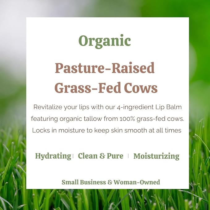 100% Organic Lip Balm Hydrating, Grass-Fed Beef Tallow Lip Balm, Made with Pasture Raised Tallow, Honey, Beeswax, & Orange Essential Oil, Lip Balms & Moisturizers - 1 Pack