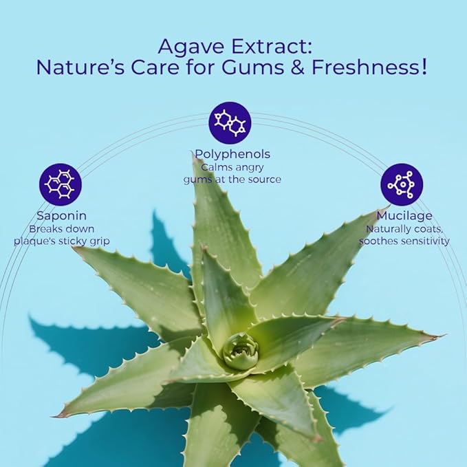 OCCOTAPS Agave Sensitive Toothpaste, Fluoride-Free Natural Whitening Toothpaste for Sensitive Teeth, Gentle Gum Care, Removes Surface Stains, Fresh Mint Herbal Formula, 1Pk US Manufactured