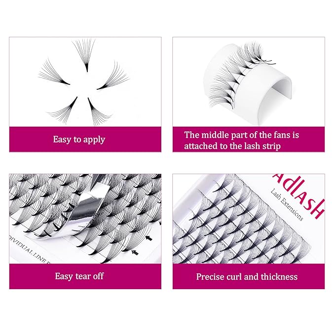 Eyelash Extensions Premade Fans Eyelash Extensions C CC D DD Curl Pointy Tip Pre Fan Eyelashes Premade Lash Extension Fans Volume Lash Extensions Pre Made Volume Lashes (10D-0.07D, 10mm)