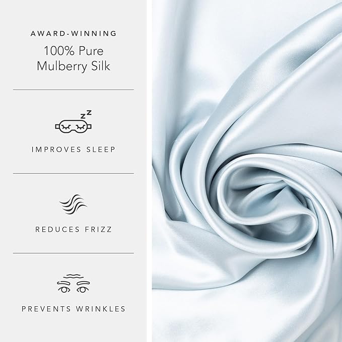 Fishers Finery 30mm 100% Pure Mulberry Silk Pillowcase Set, Quality Tested (Blue, Standard, 2 Pack)