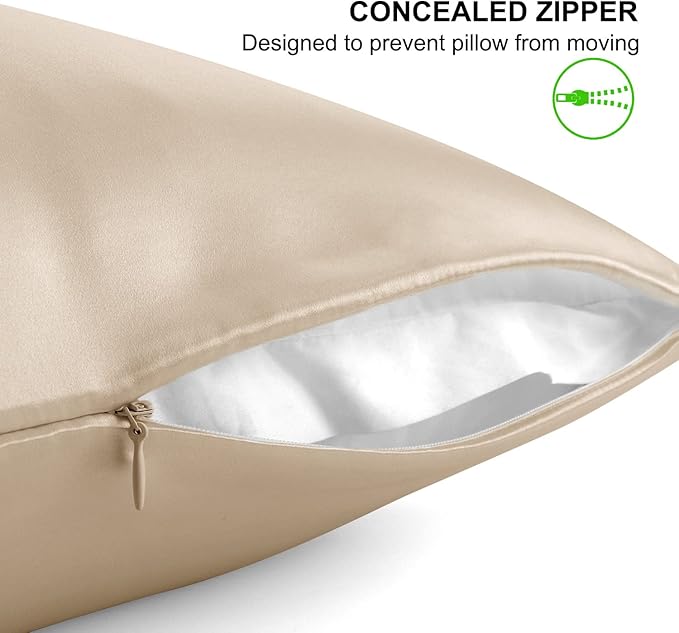 ALASKA BEAR Natural Silk Pillowcase, Hypoallergenic, 19 Momme, 600 Thread Count 100 Percent Mulberry Silk, King Size with Hidden Zipper (1,Champagne Gold)