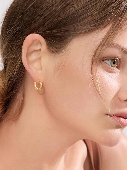 Oval/Round Hoop Huggie Earrings for Women 14k Gold Plated Earrings Hypoallergenic Cubic Zirconia Jewelry Gifts