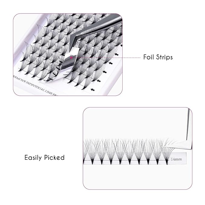 10D Premade Volume Eyelash Extensions Pro Ponit Premade Lash Extensions Fans Pre Made Fanned Russian Volume Lash Extensions Long Lasting (10D-0.07-C, Mix 8-14mm)