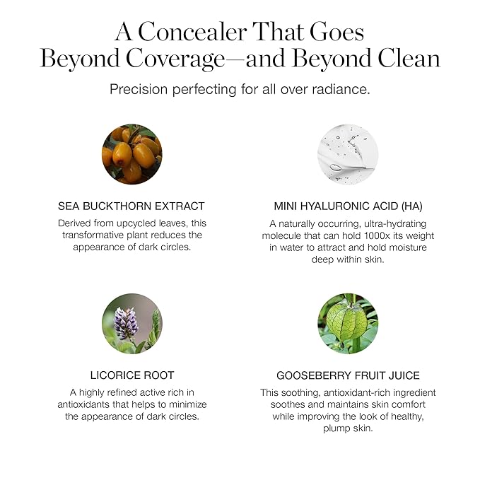 Ogee Complexion Perfecting Under Eye Concealer - Certified Organic Full Coverage Concealer - Buildable Coverage - BALSAM 5.25W - Medium Tan (Warm Undertones)