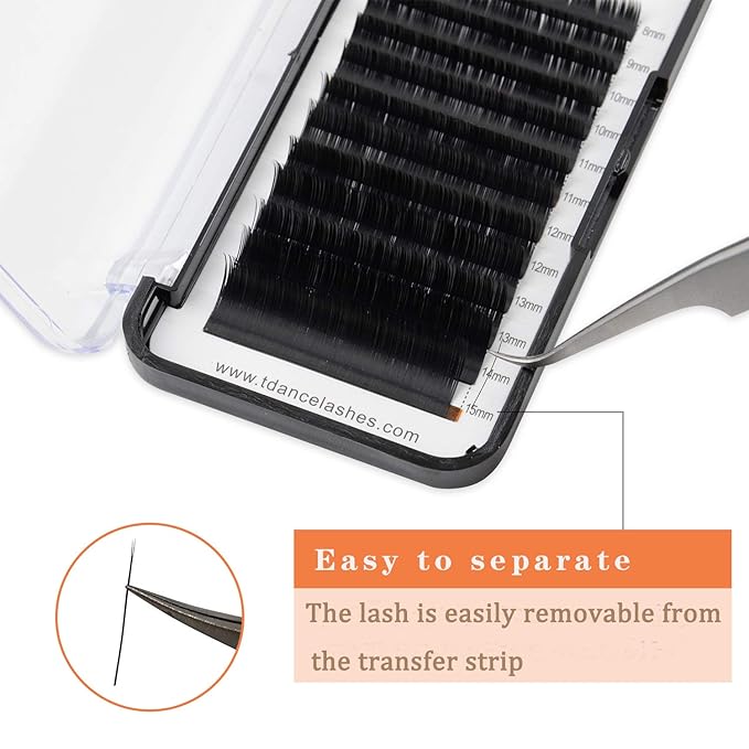 TDANCE Classic Lash Extensions Flat Lashes Eyelash Extensions 0.15mm D Curl Ellipse Eyelash Extensions 8mm Mixed Black Matte Individual Lashes Salon Use(Flat,D-0.15,8mm)