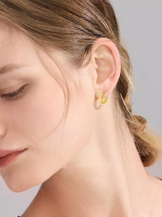 Oval/Round Hoop Huggie Earrings for Women 14k Gold Plated Earrings Hypoallergenic Cubic Zirconia Jewelry Gifts