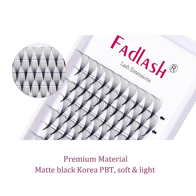 Eyelash Extensions Premade Fans Eyelash Extensions C CC D DD Curl Pointy Tip Pre Fan Eyelashes Premade Lash Extension Fans Volume Lash Extensions Pre Made Volume Lashes (10D-0.07D, 10mm)