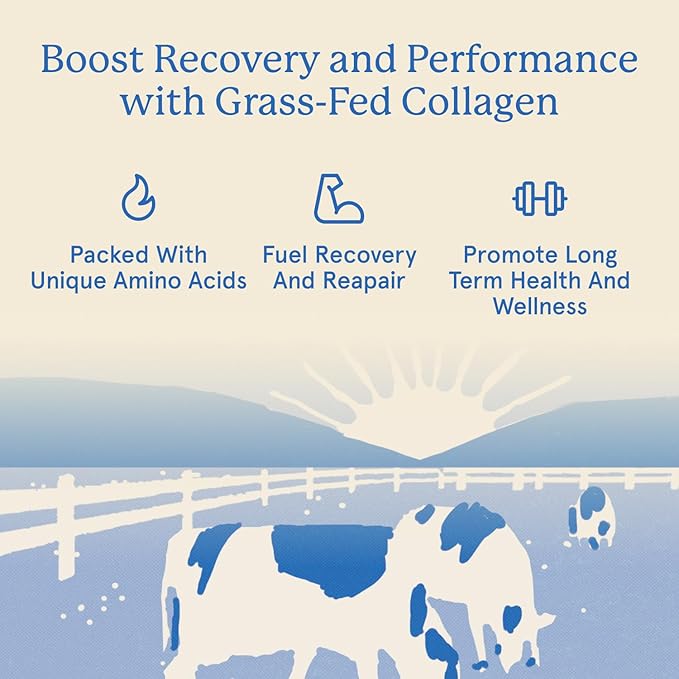 Equip Foods Grass Fed Collagen Powder | Hydrolyzed Bovine Collagen Peptides with Amino Acids | Prime Beef Collagen for Healthy Joints, Skin & Nails | Non-GMO, Paleo Friendly | 30 Servings, Vanilla