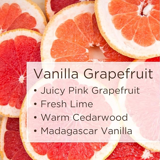Lavanila Roller Perfume Set of 3 (10ml Each), Includes Pure Vanilla + Vanilla Coconut + Grapefruit - The Healthy Fragrance for Women, Clean and Natural