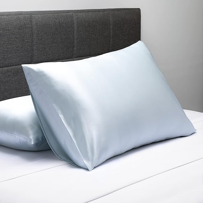 Fishers Finery 25mm 100% Pure Mulberry Silk Pillowcase (Blue Standard 2 Pack)