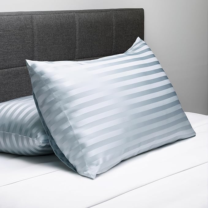Fishers Finery 30mm 100% Pure Mulberry Silk Pillowcase, Quality Tested (Blue Stripe, Queen)