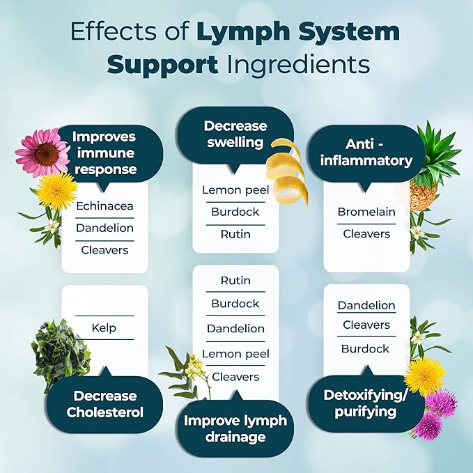 PUREHEALTH RESEARCH Lymph System Support Supplement - Lymphatic Drainage with Dandelion Extract, Cleavers, Burdock Powder Reduce Swelling and Cleanse 3 Bottles Brown 180 Count
