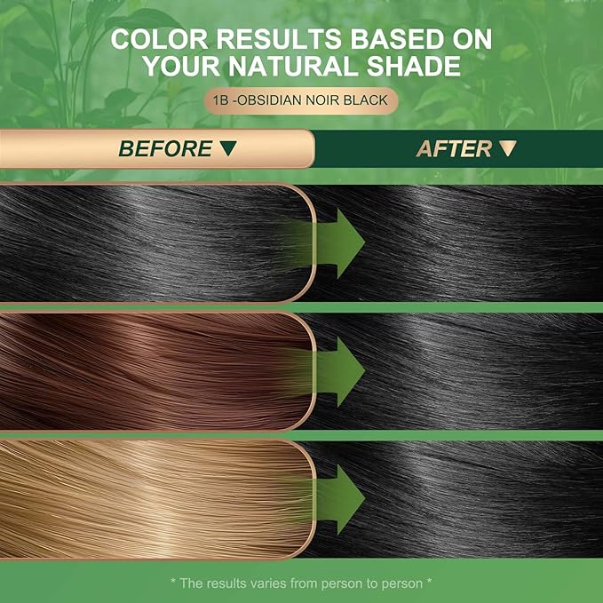 BioHueZ Permanent Hair Dye Gray Coverage Hair Dye PPD-Free Permanent Hair Color for Women 1B Obsidian Noir Black Natural Black