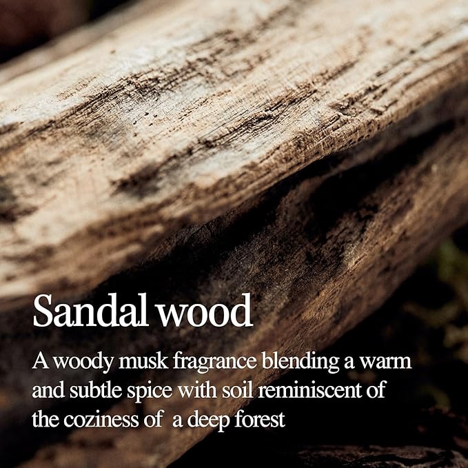 LONGTAKE Sandalwood Intensive Hair Perfume Treatment 6.76 Fl OzㅣImproves softnessㅣ Anti-frizzㅣSplit end repairㅣFor All hair types