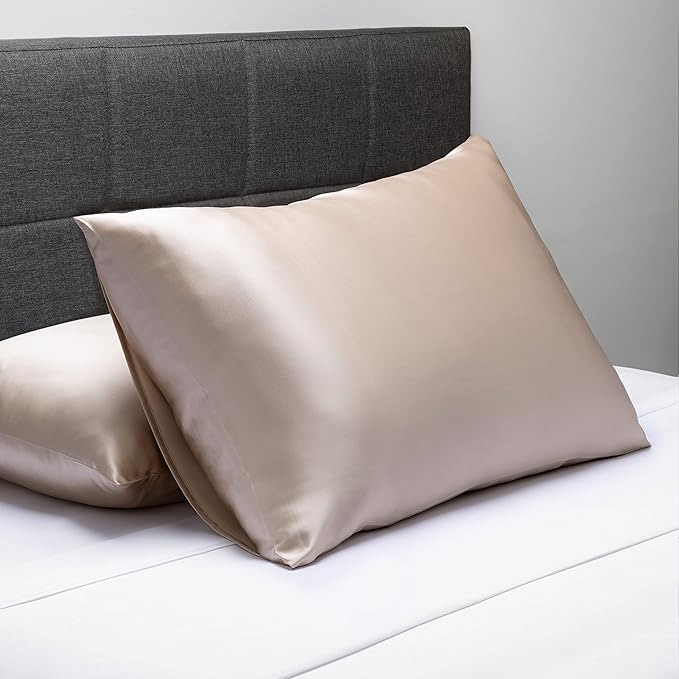 Fishers Finery 19mm 100% Pure Mulberry Silk Pillowcase, Quality Tested (Taupe, K)
